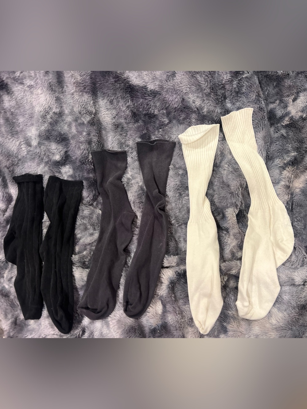 Petite women’s Ribbed Crew Socks - Black & White